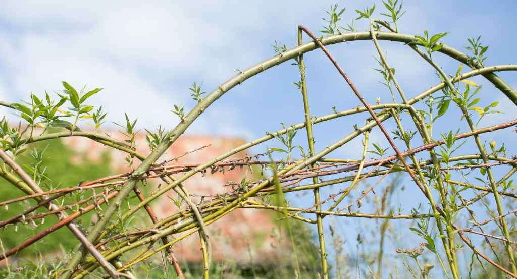 2013_LingsMeadow_0090