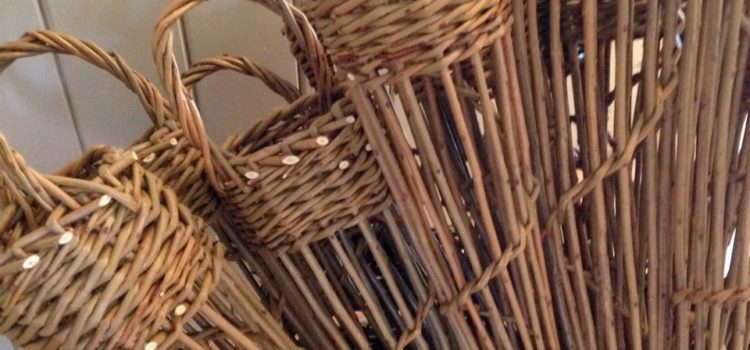 Basketry course – 24th June 2017 Basketry course – 24th June 2017
