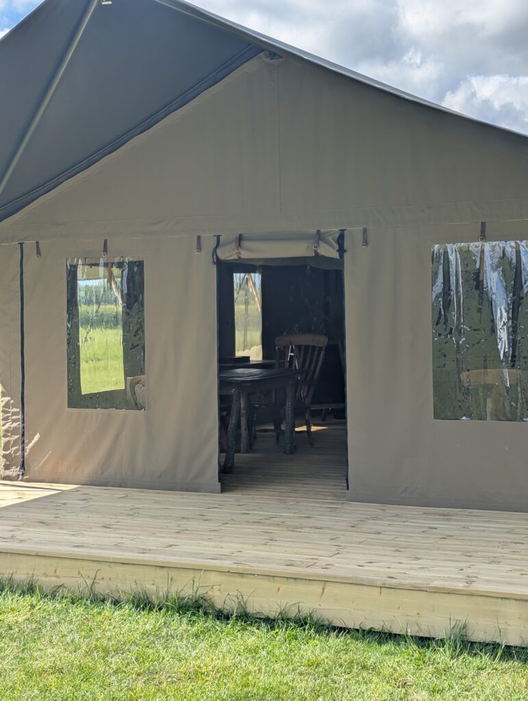 safari tent